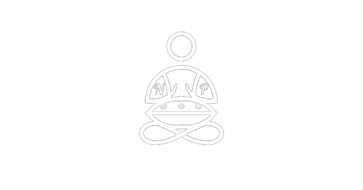 NovaPans Handpans Coupons and Promo Code